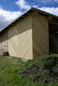 Stallanbau